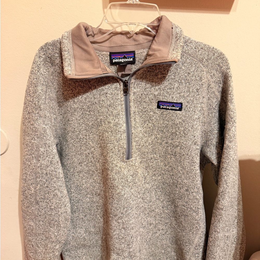 Patagonia Taupe and Gray Fleece Jacket